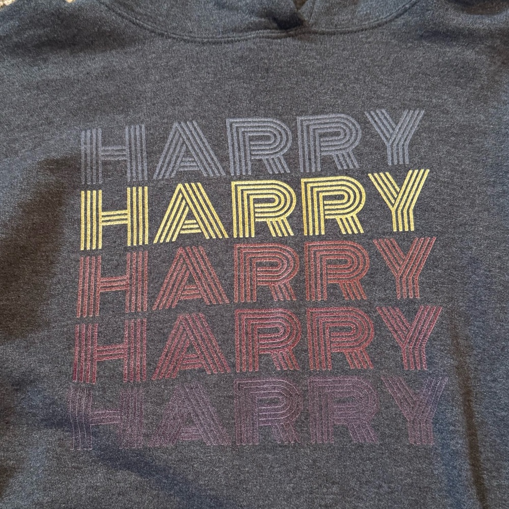 Harry Styles hoodie.